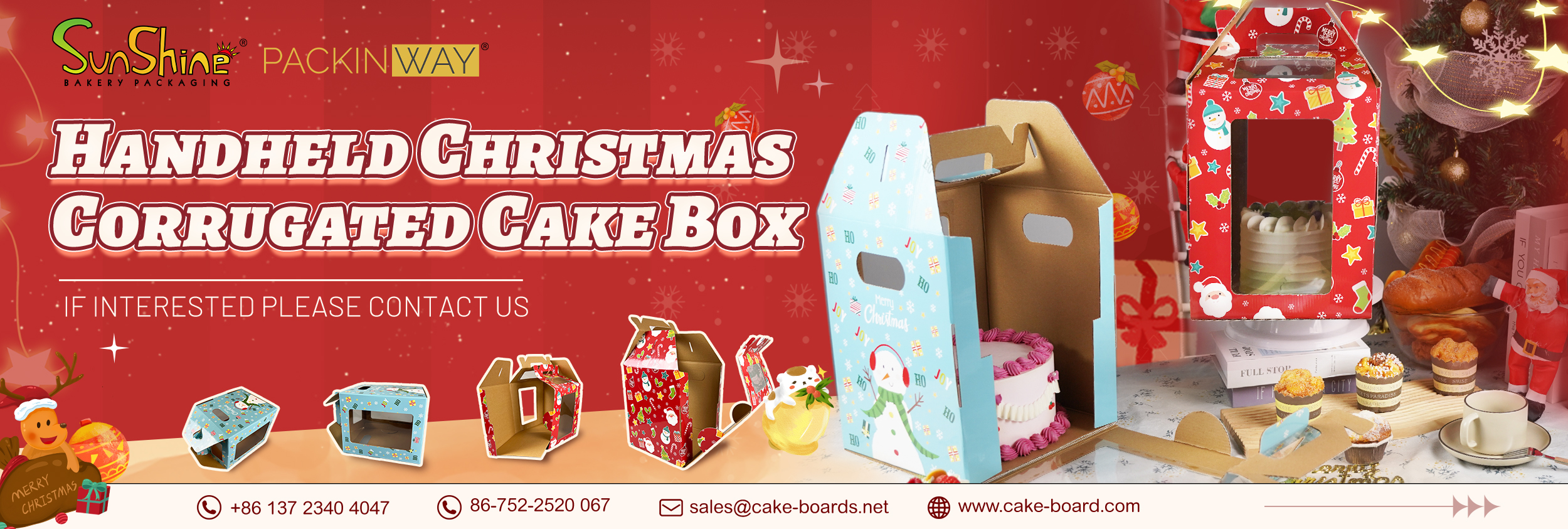 Plastic Cake Box Wholesale & Custom | China Manufacturer - Shenzhen ...