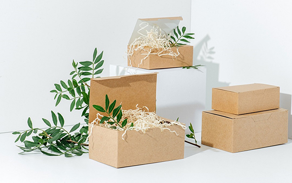 From-Beginning-to-End-Biodegradable-Packaging-Options