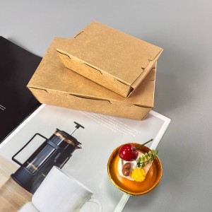 Paper Box For Burger (2)