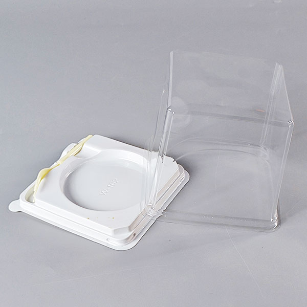 Plastic Cake Box (1)