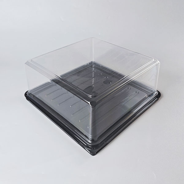 Plastic Cake Box02
