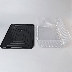 Plastic Cake Box04