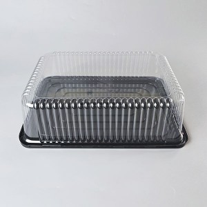 Plastic Cake Box