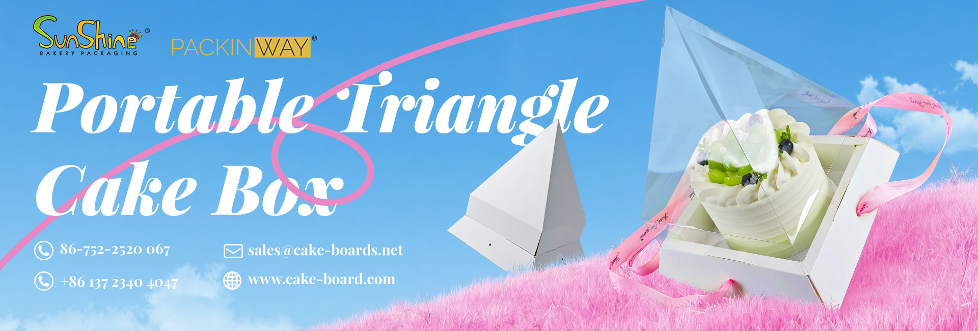 Portable Triangle Cake Box