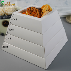 Pyramid Boxes Packaging (2)
