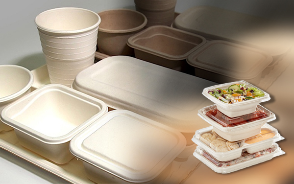 biodegradable food packaging containers