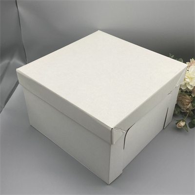 cake box (10)