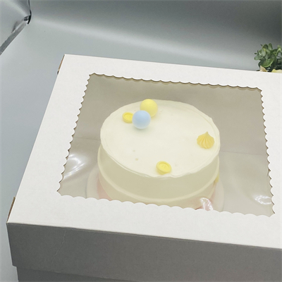 केक बॉक्स (7)