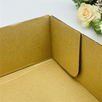 corrugated cake box (68)