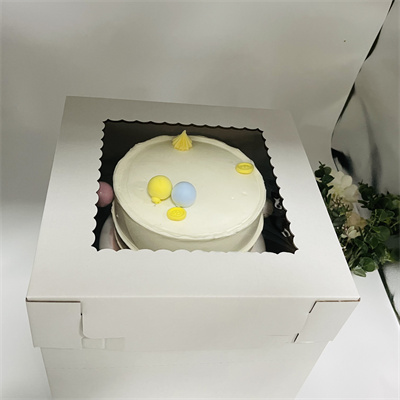 नालीदार केक बॉक्स (88)