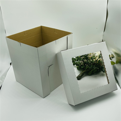 caixa de bolo de papelão ondulado (89)